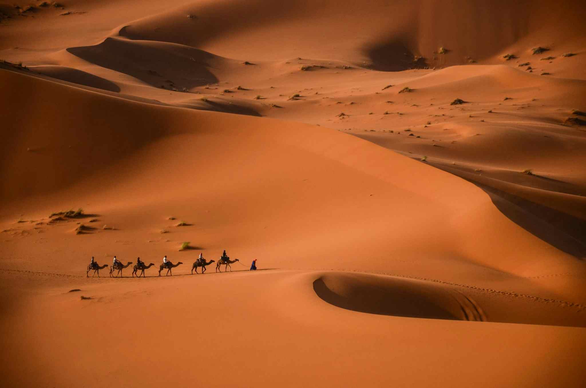 An Adventure Guide to the Sahara Desert