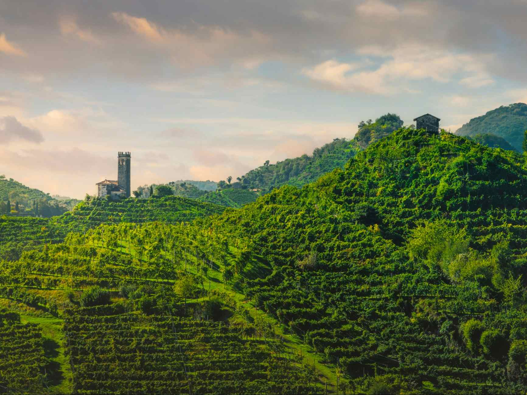 Prosecco Hills, Italy. Photo: GettyImages-1477410817