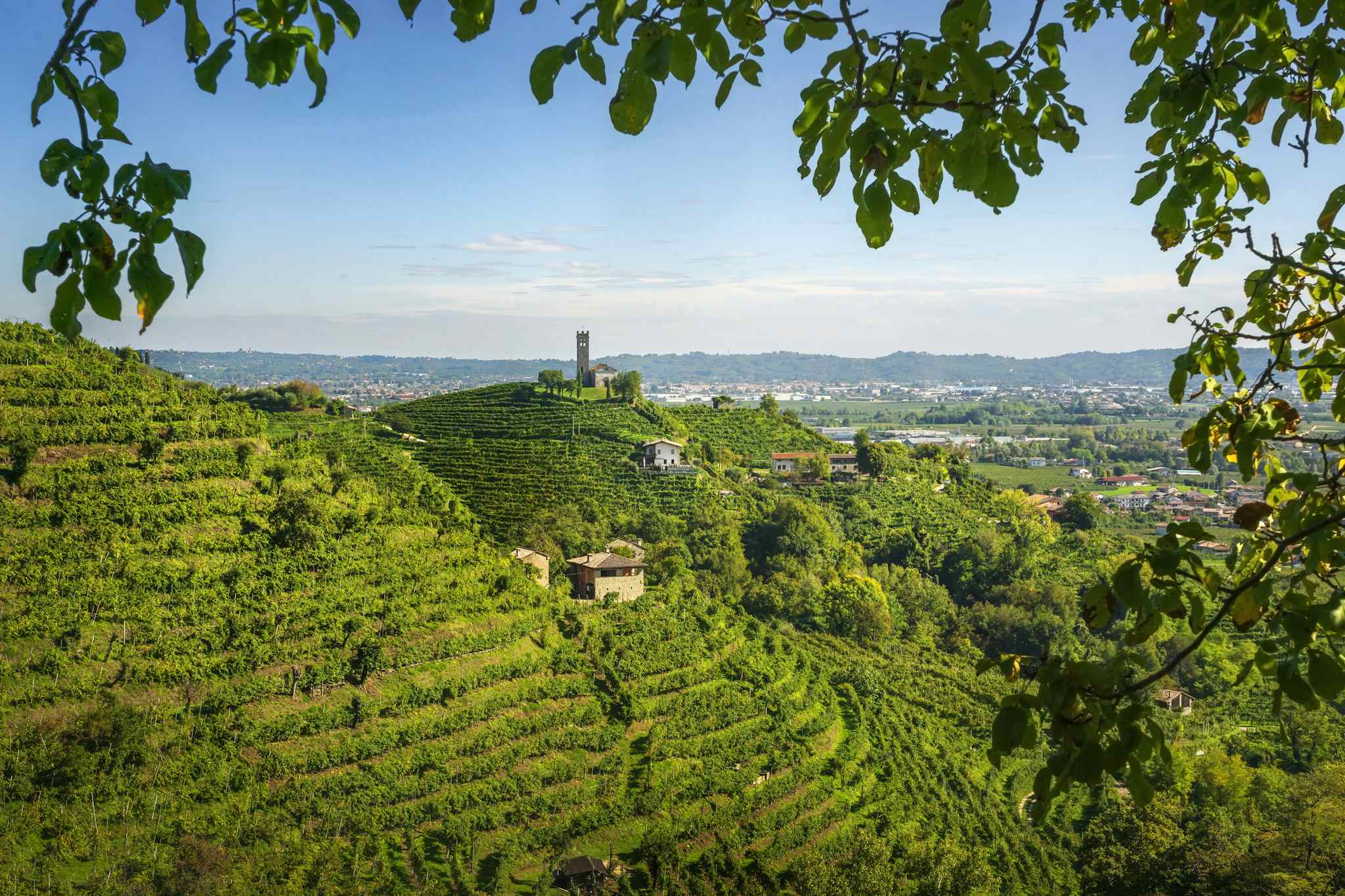 Prosecco Hills, Italy Photo: GettyImages-1456770805