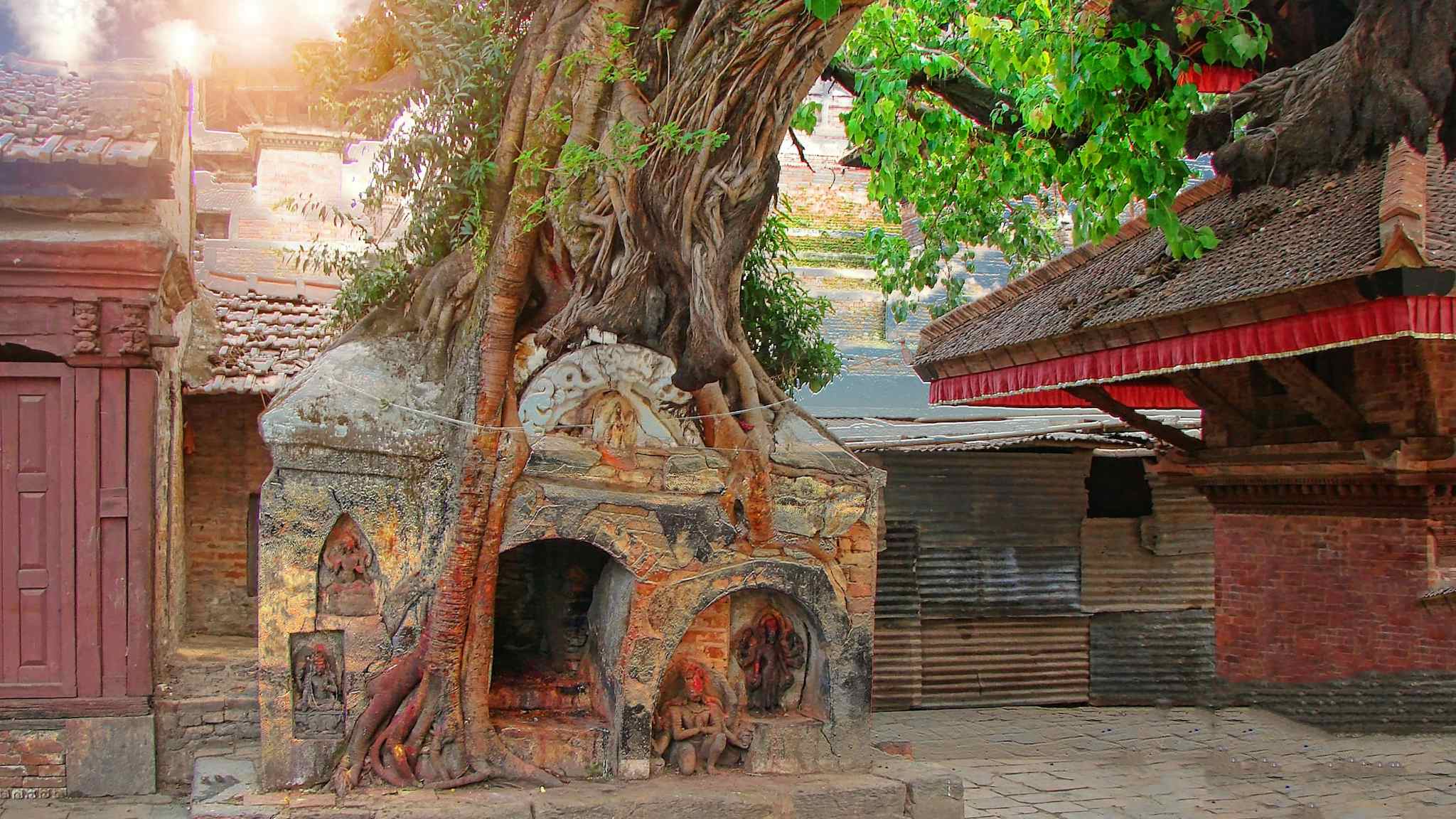 Tree roots taking over a temple in Thamel, Kathmandu, Nepal. 