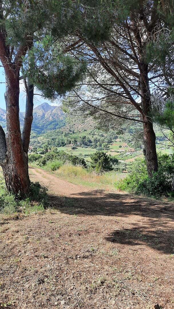 Elba is a hidden gem, with lovely beaches a...