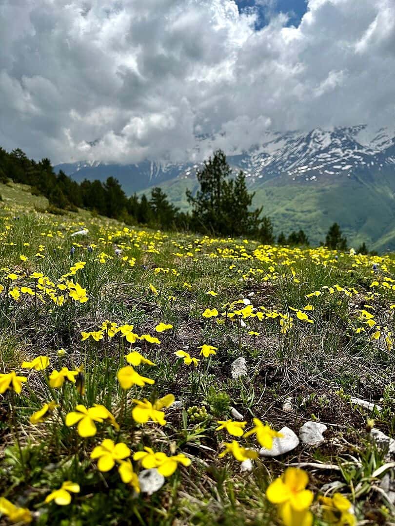 Despite some unpredictable weather, this tr...