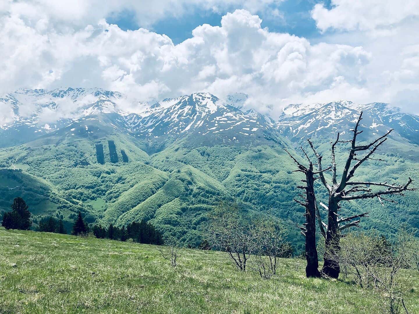 Great trip! The hikes were gorgeous and wel...