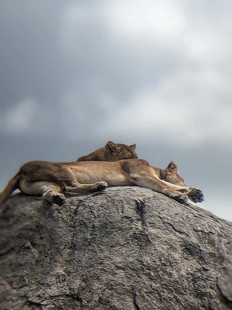The Trip of a Lifetime. Im not exaggerating...