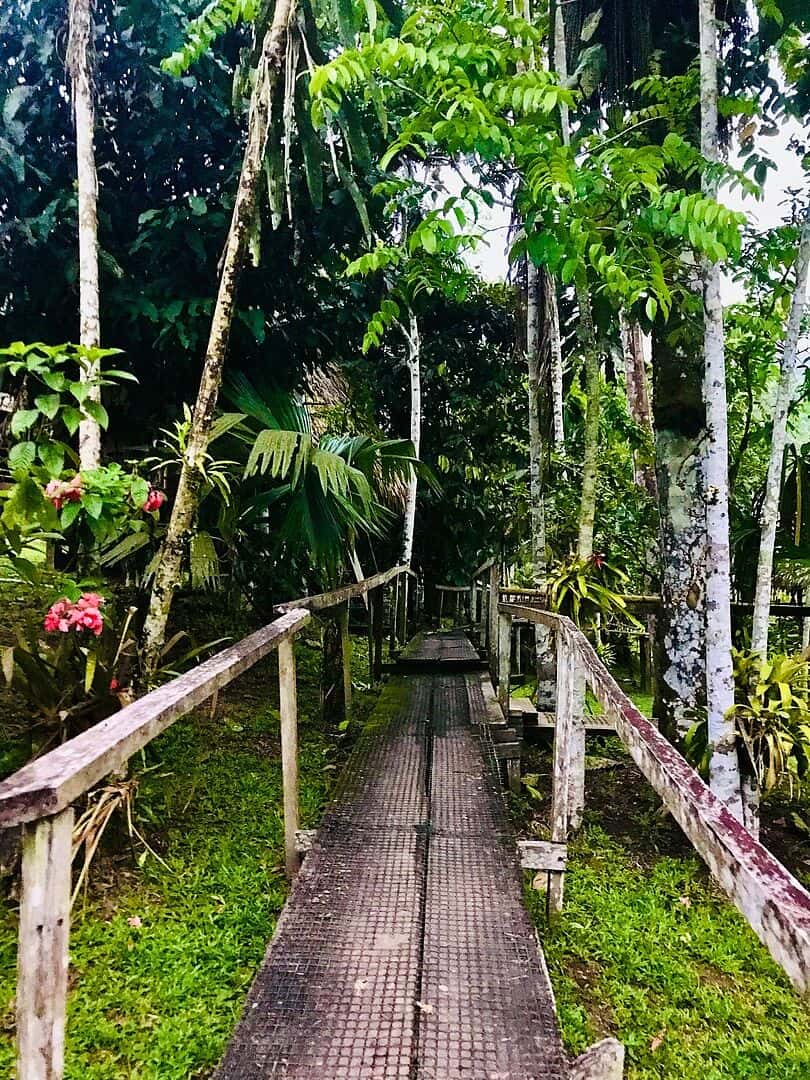 Trekking, kayaking and camping in the Amazo...