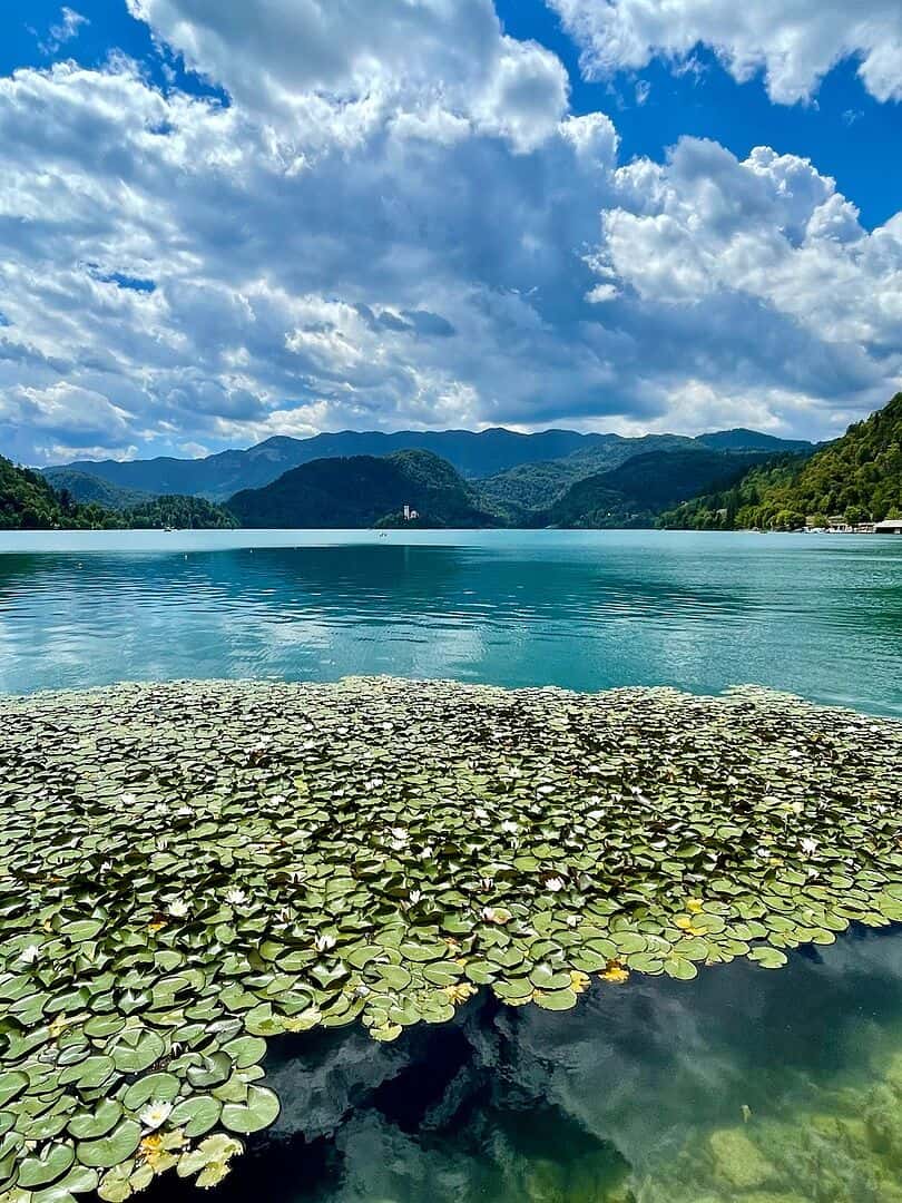 Slovenia is such a beautiful country - a hi...