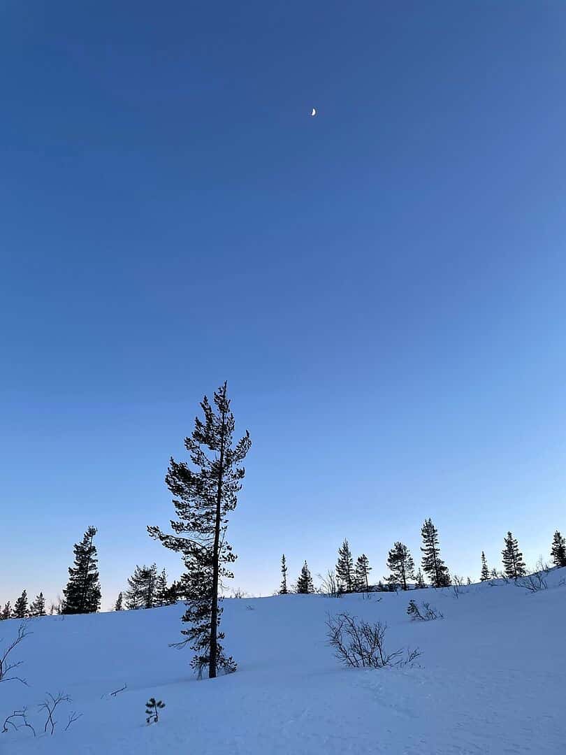 Incredible experience on the Backcountry Sk...