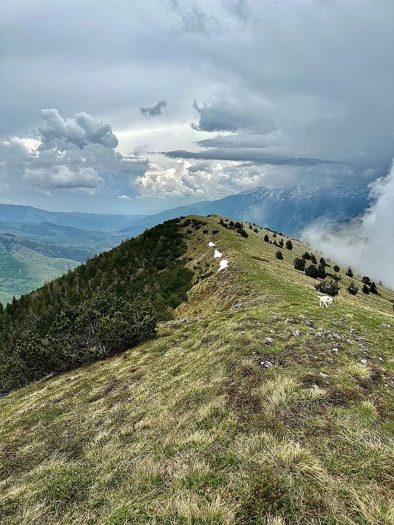 Despite some unpredictable weather, this tr...