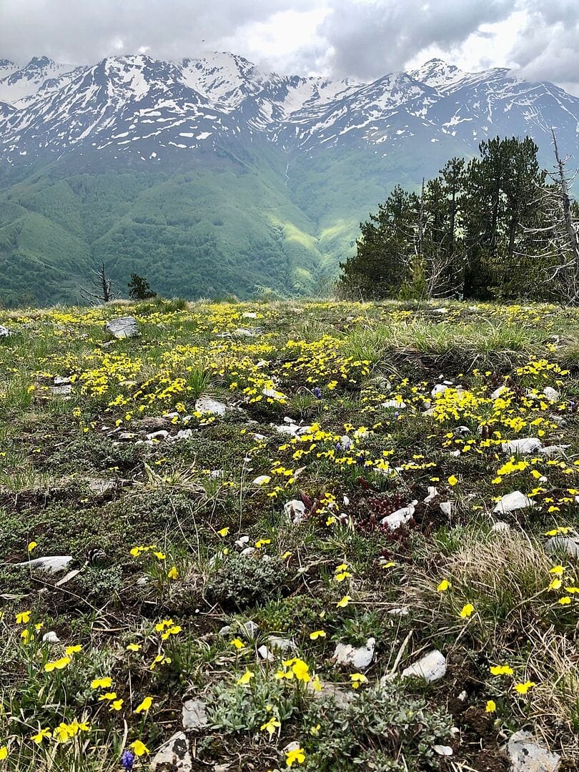 Great trip! The hikes were gorgeous and wel...