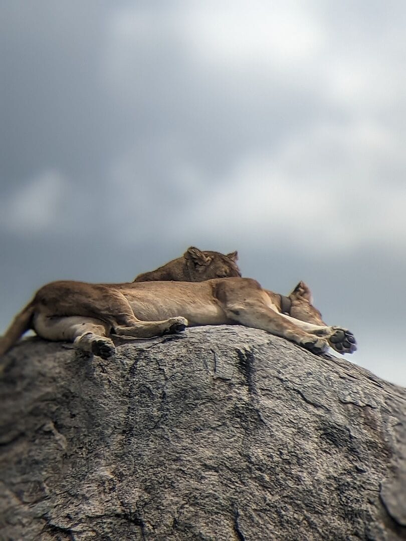 The Trip of a Lifetime. Im not exaggerating...