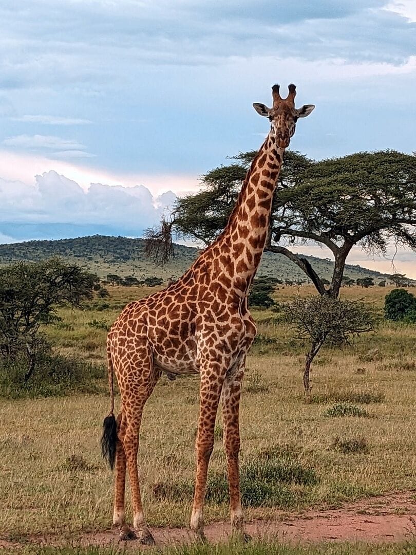 The Trip of a Lifetime. Im not exaggerating...