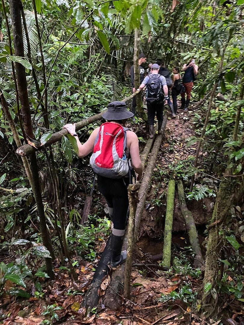 Trekking, kayaking and camping in the Amazo...