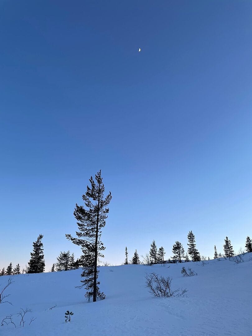 Incredible experience on the Backcountry Sk...