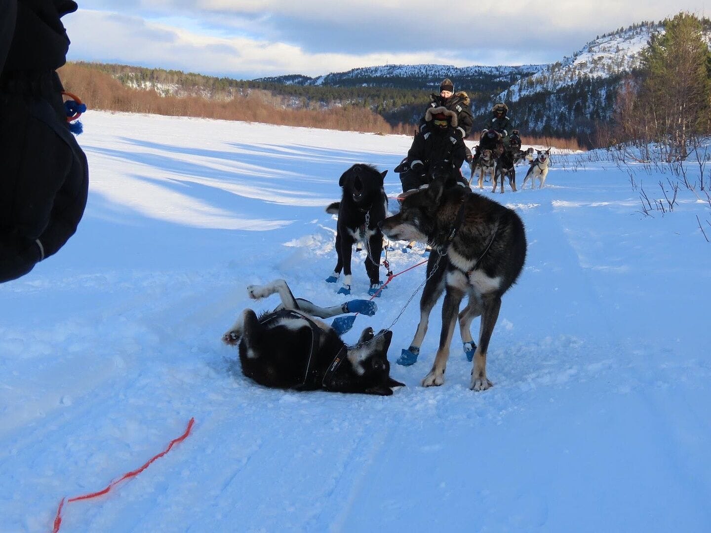 Our favourite trip!
