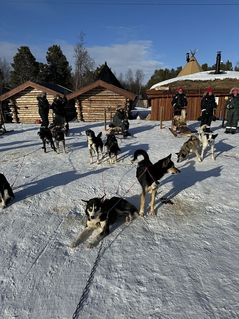 Holmen Husky Lodge
