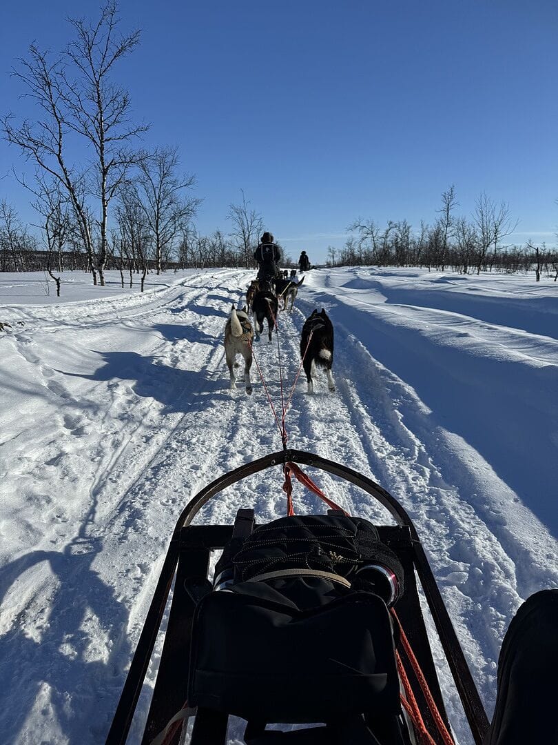 Holmen Husky Lodge