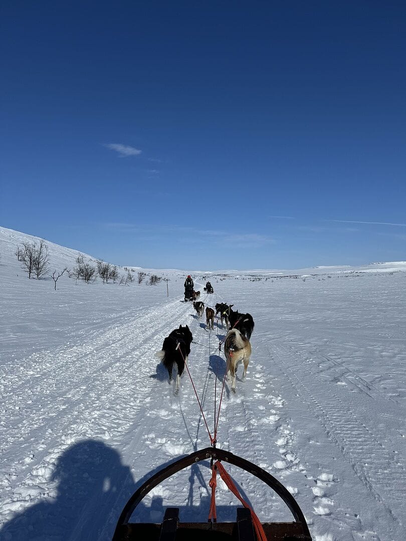 Holmen Husky Lodge