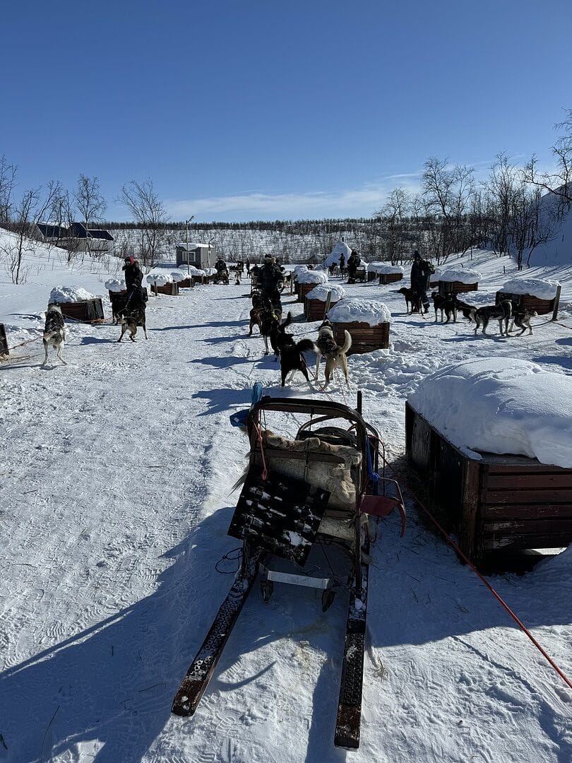 Holmen Husky Lodge