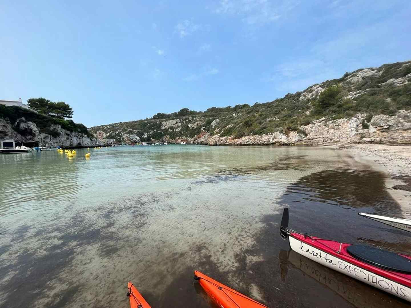 The kayaking trip was great overall; you ge...