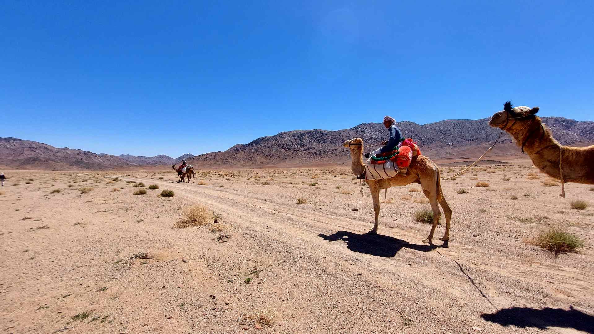 I loved this trip! The Sinai desert is unli...