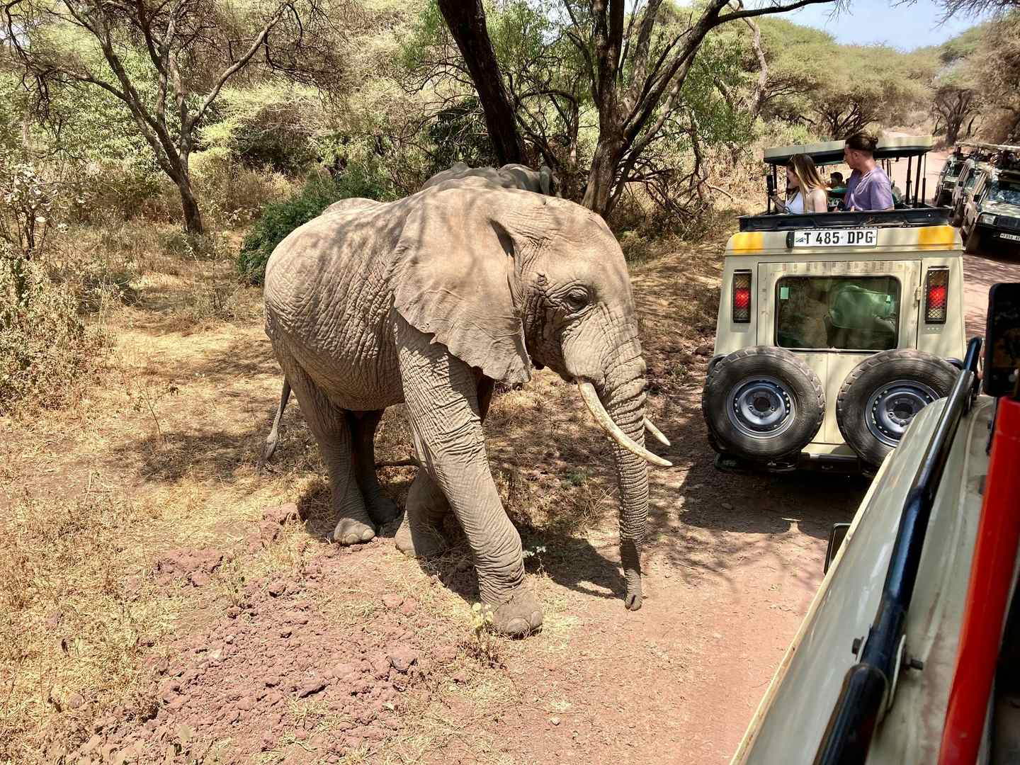 An incredible experience, the safari an abs...