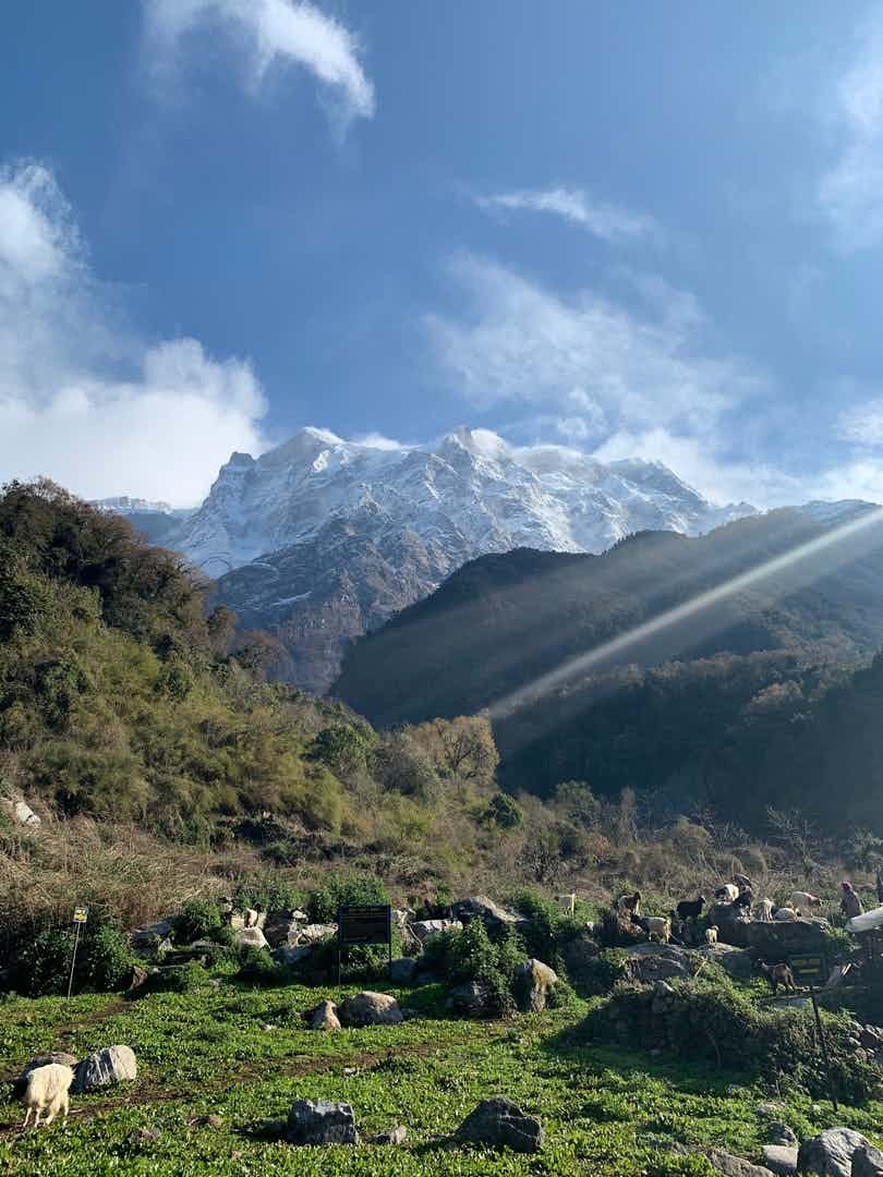 Amazing views of Lamjung Himal and Annapurn...