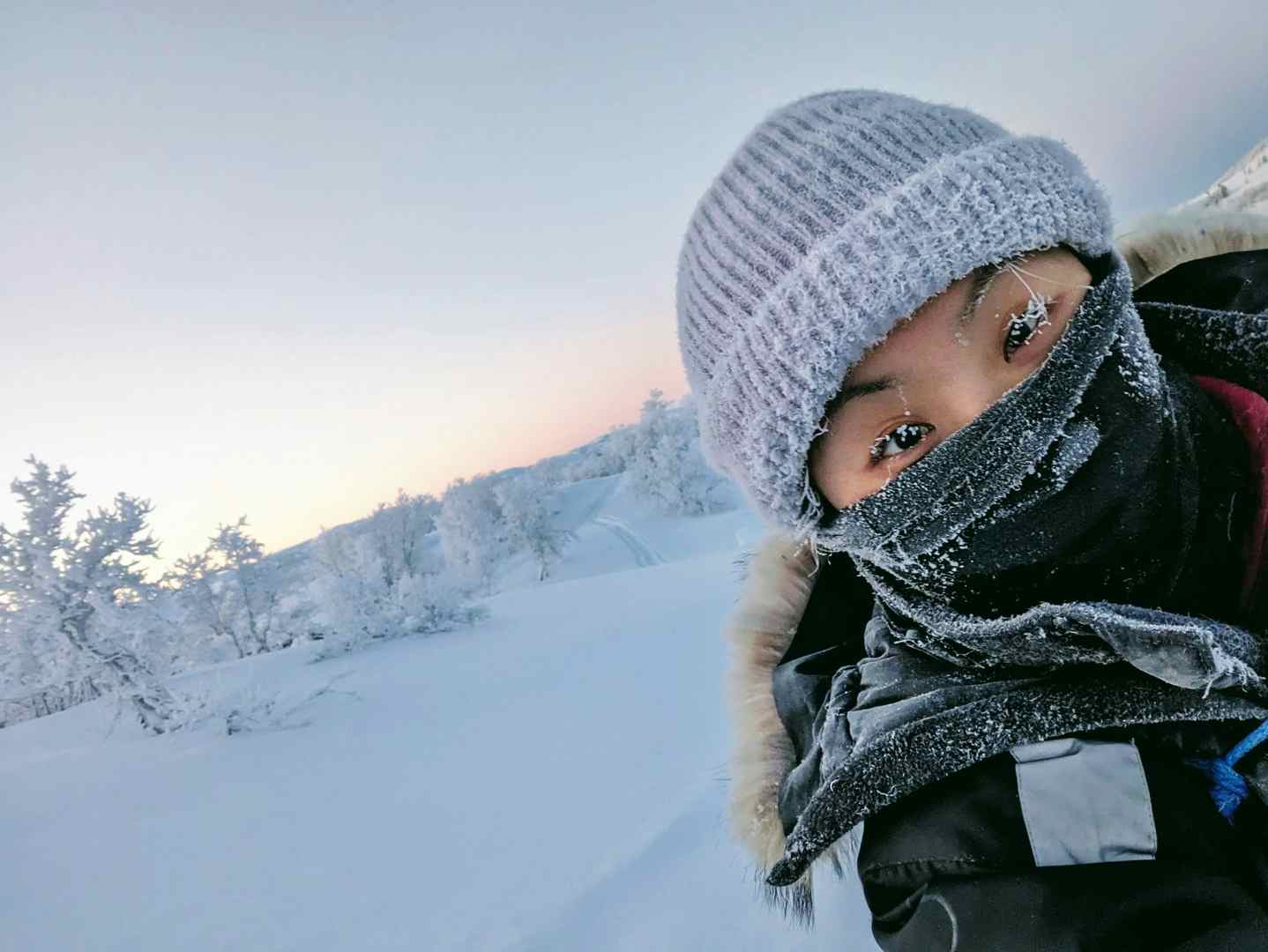 Amazing arctic adventure!