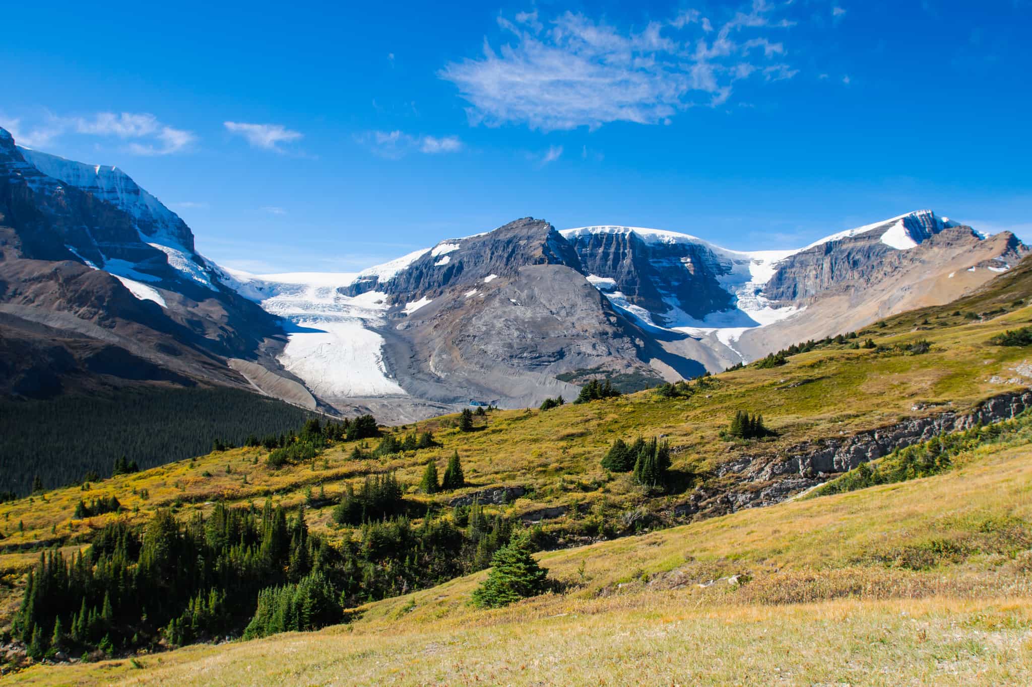 Wilcox Pass, Columbia Icefield, Rockies, Canada, Getty