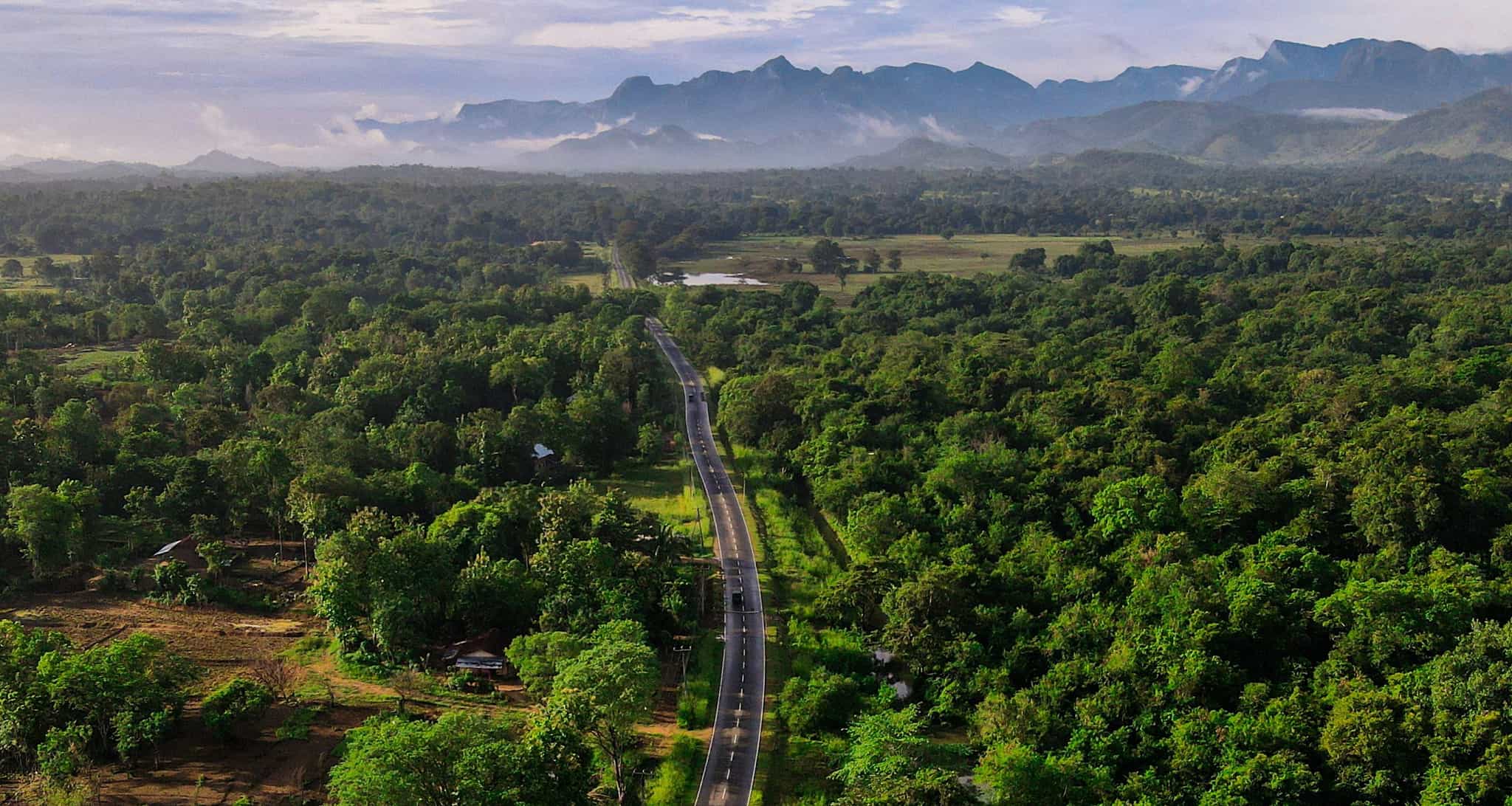 Aerial view of the Wasgamuwa region forest landscape, Sri Lanka
