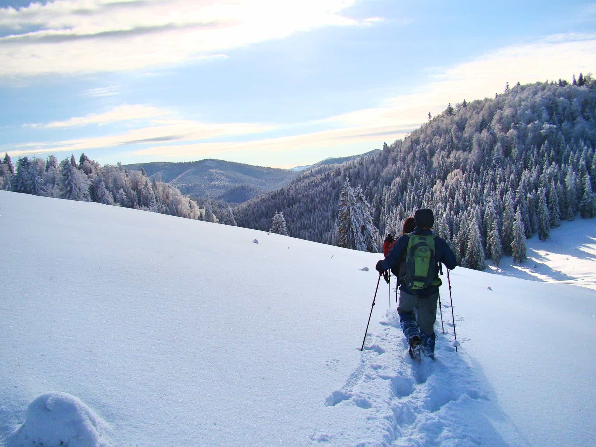 Snowshoe the Carpathian Mountains in Romania