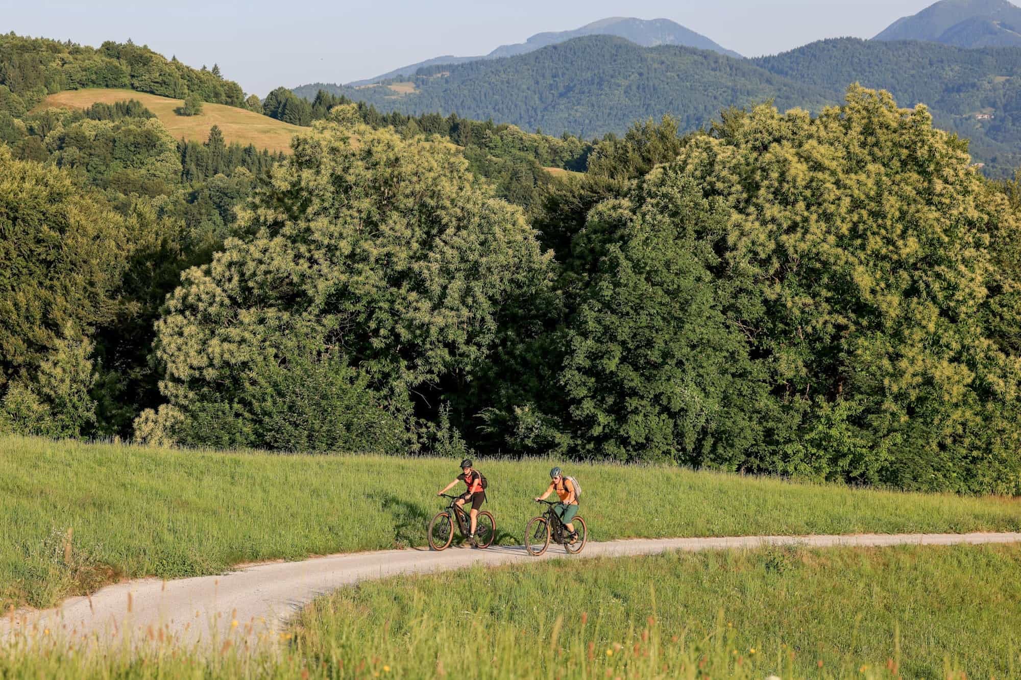 Cycle Slovenia Photo: Host / Life Adventures