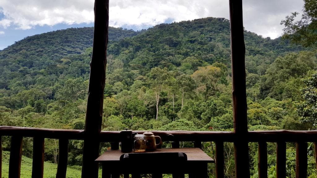 Bwindi Guesthouse, Uganda.