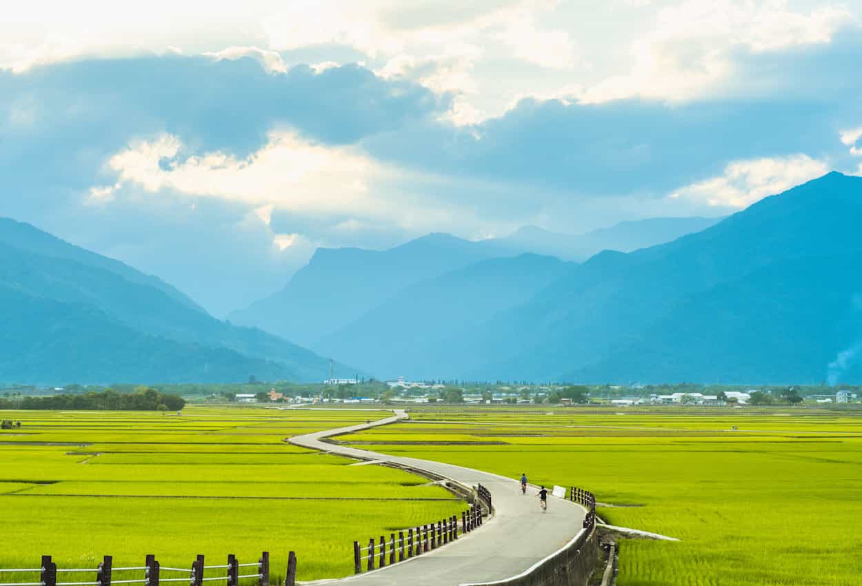 Cycling through the green plantations of Chishang, Taiwan.