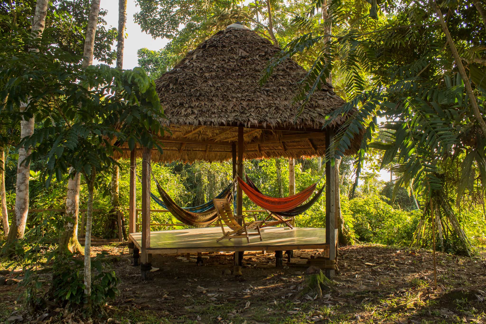 Wildlife Adventure in the Remote Peruvian Rainforest