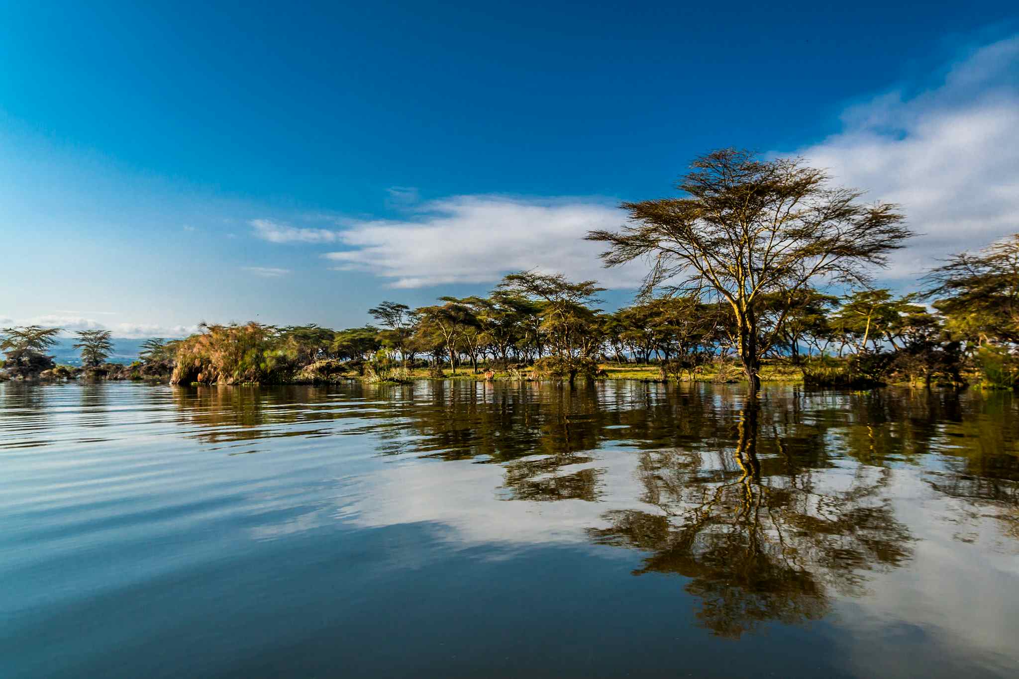 Lake Naivasha in Kenya
Getty #513954353