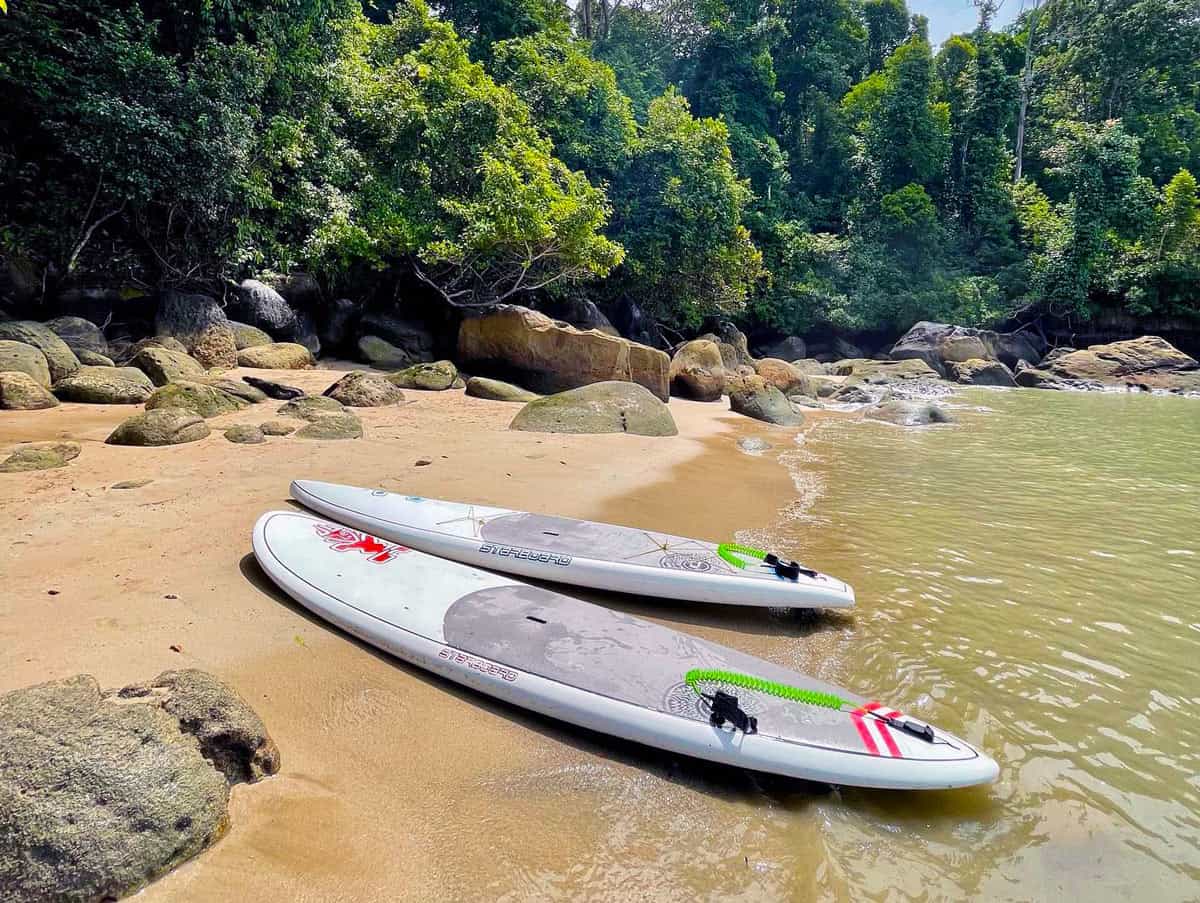 Permai Rainforest Resort, Wildlife Adventure in the Jungles of Borneo