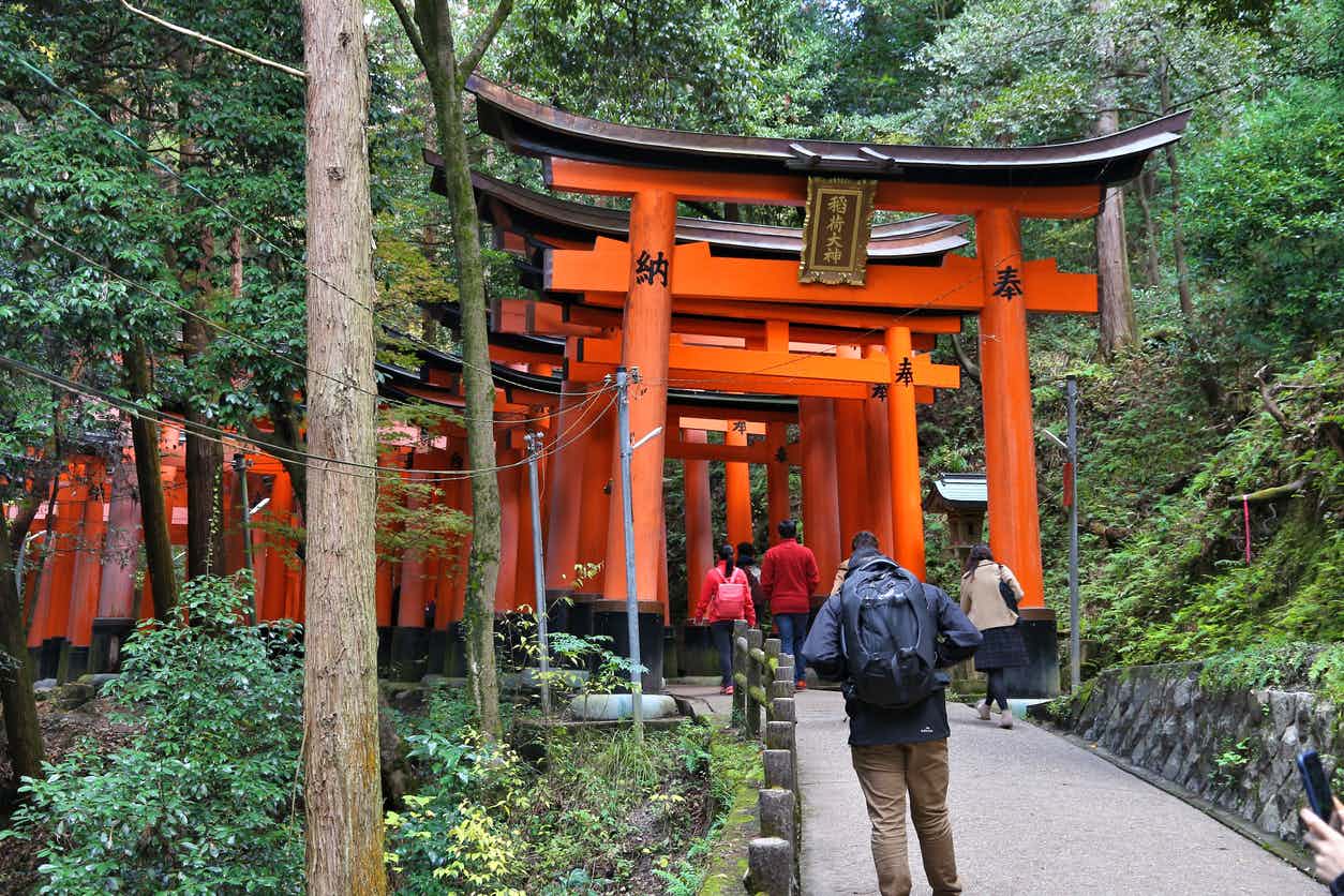 Fujimi Inari Shrine, Kyoto, Japan. Photo: iStock-1164173404