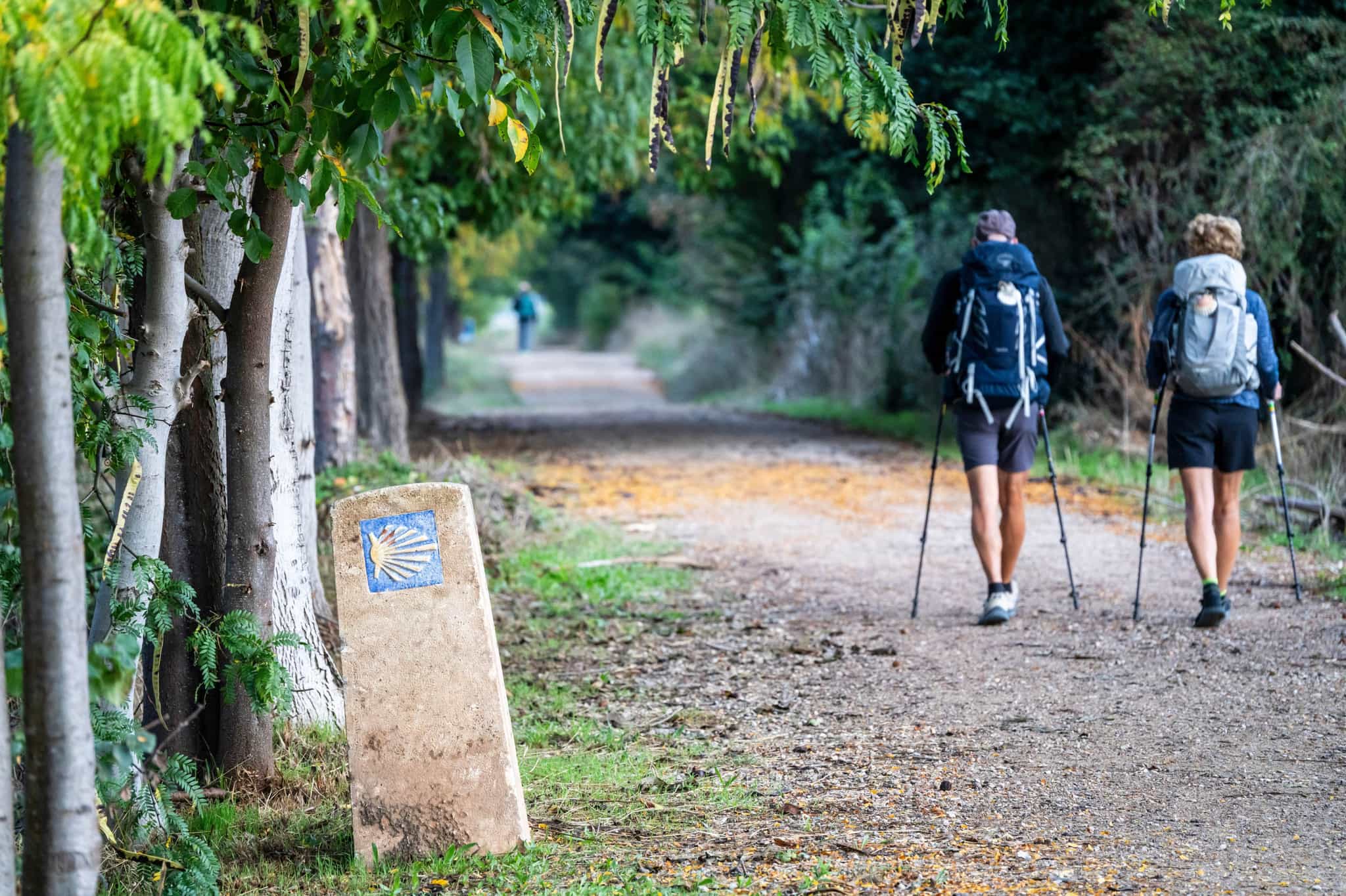 Hikers on the Camino de Santiago, Spain.
