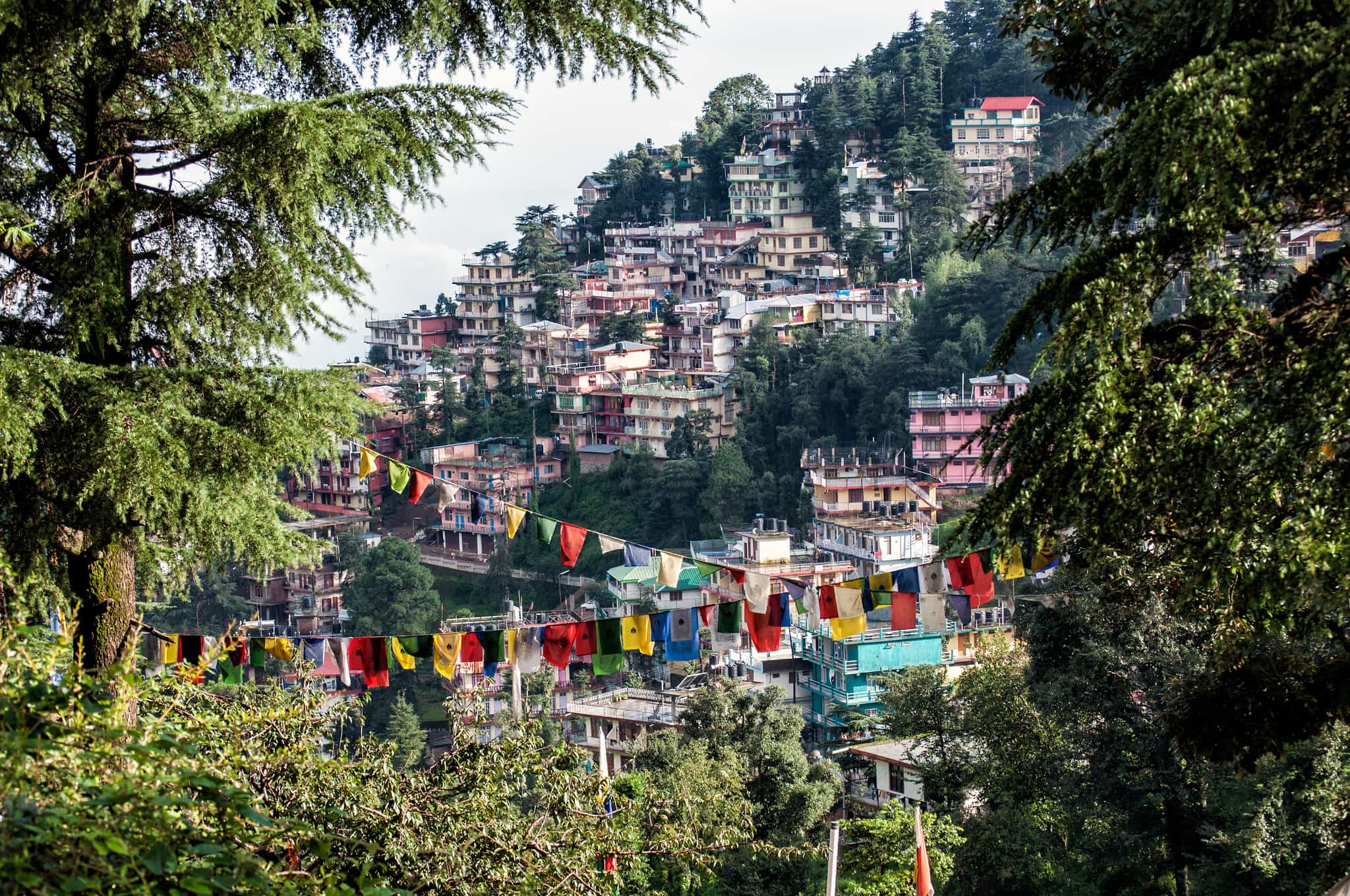 McLeod Ganj, Dharamshala, Himachal Pradesh, India. Source: shutterstock 570784429