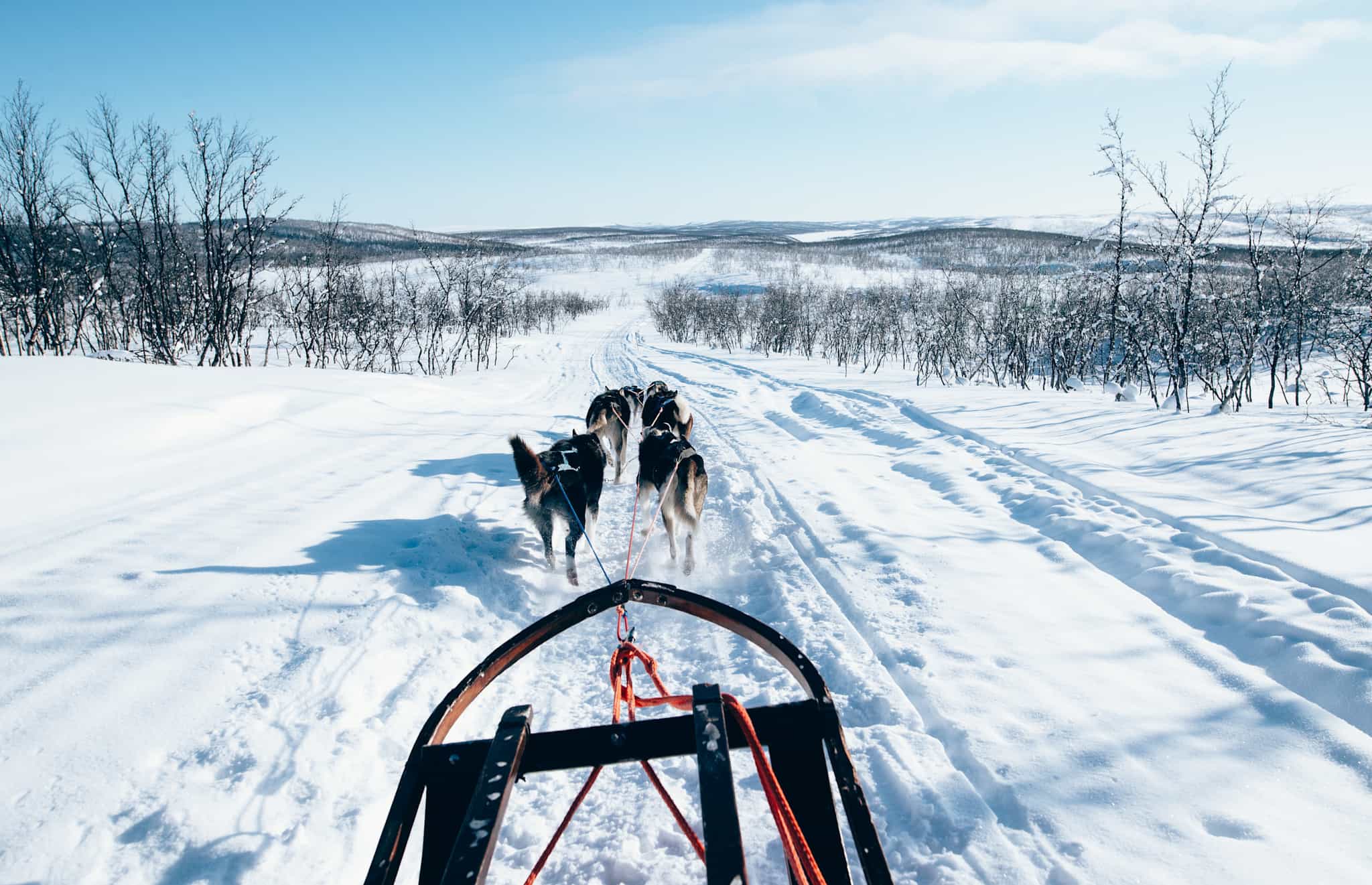 Dog sledding from the POV of the musher in Norway.