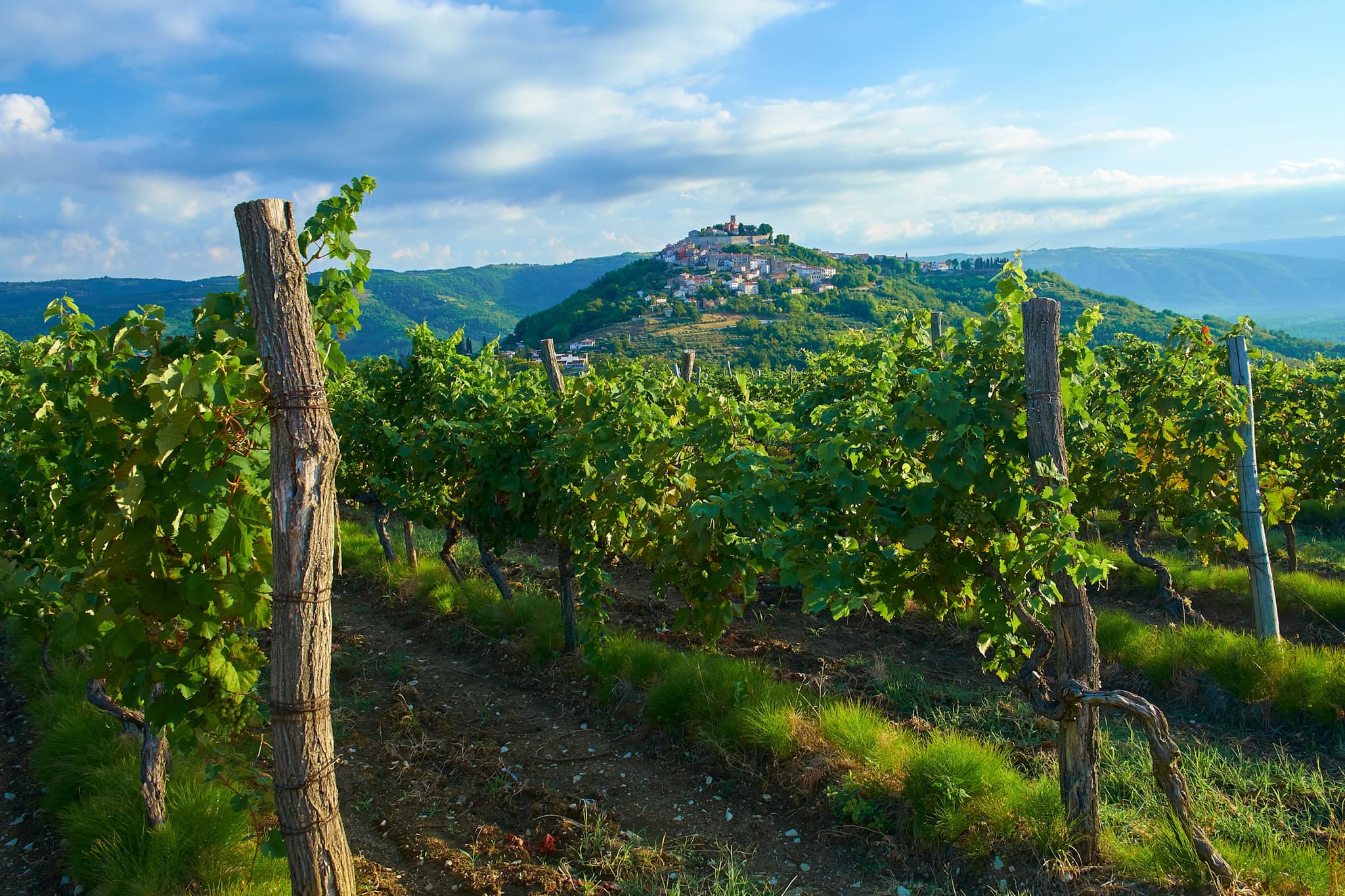 Premium: Hike and Feast Across Croatia’s Wine Country
