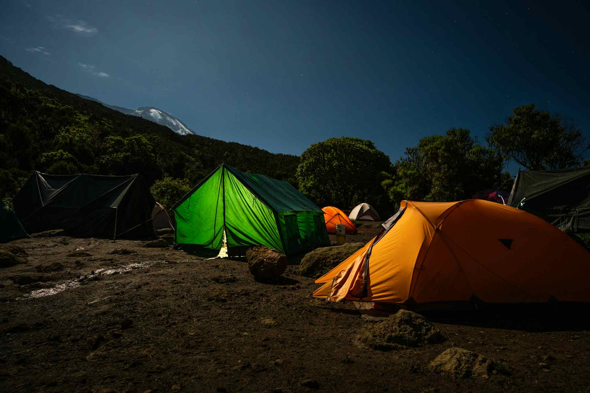 Illuminated tents at night in Machame Camp in front of Mount Kilimanjaro, Tanzania, under the stars.