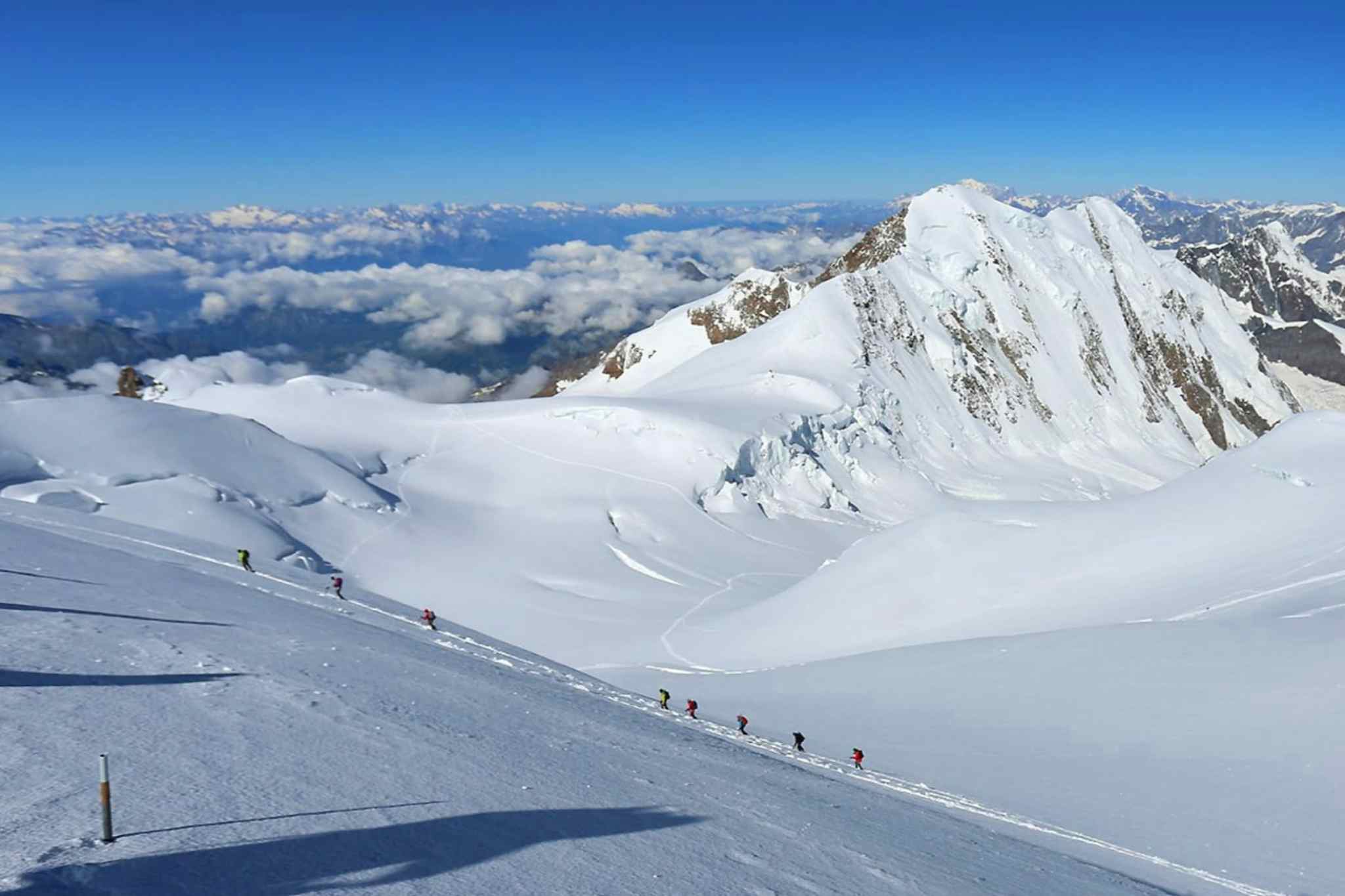 Monte Rosa climb, Italian Alps
Host Image: Altai 