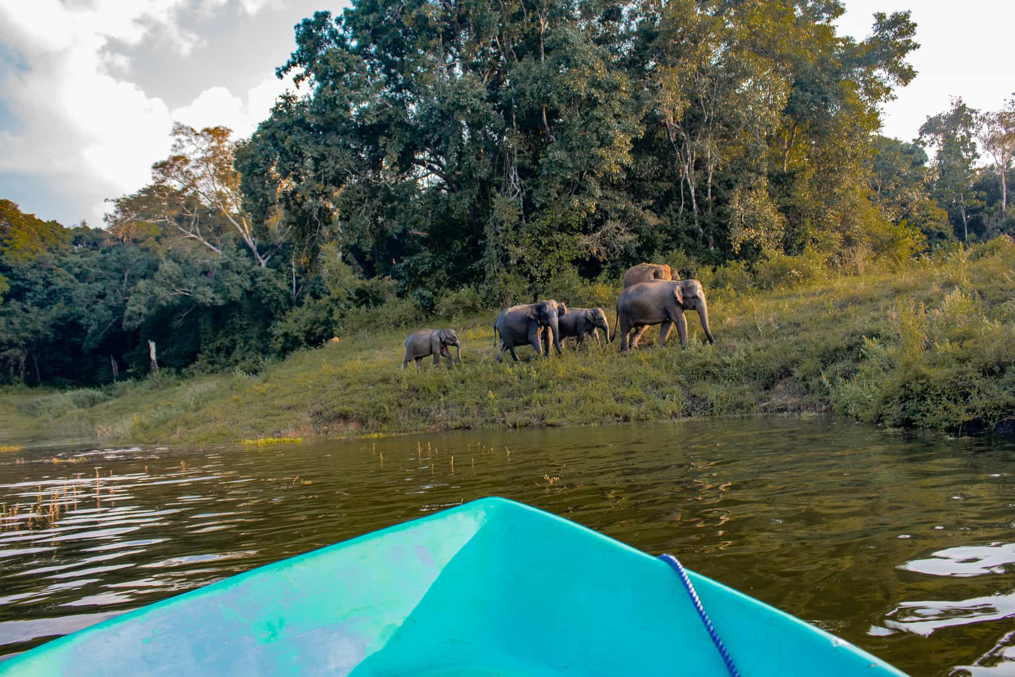 Gal Oya Boat Safari, Sri Lanka. Photo: Hotel/Gal Oya Wild Glamping