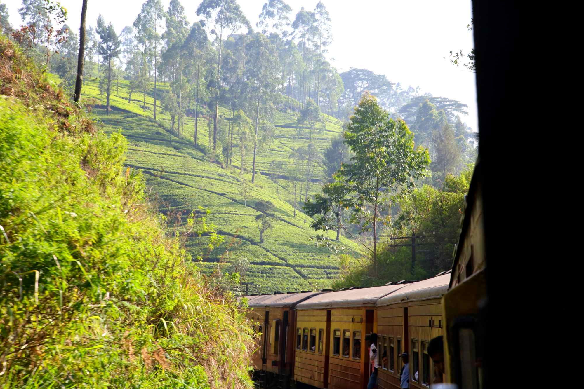 Train journey in Sri Lanka. Photo: Host/Best of Lanka