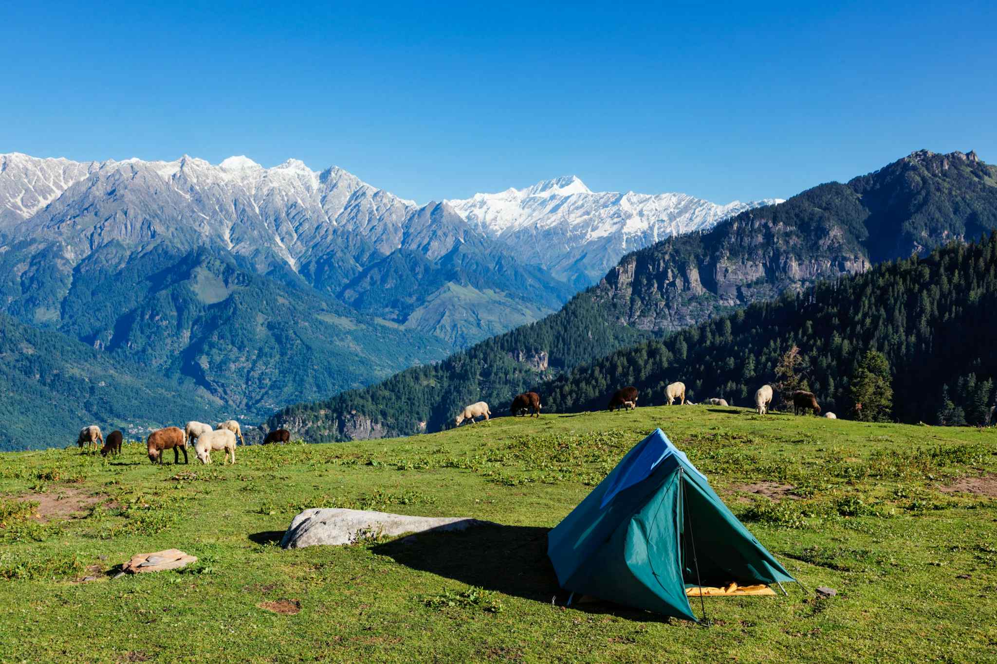 Indian himalaya trek, camping, Photo: Getty 1220327144