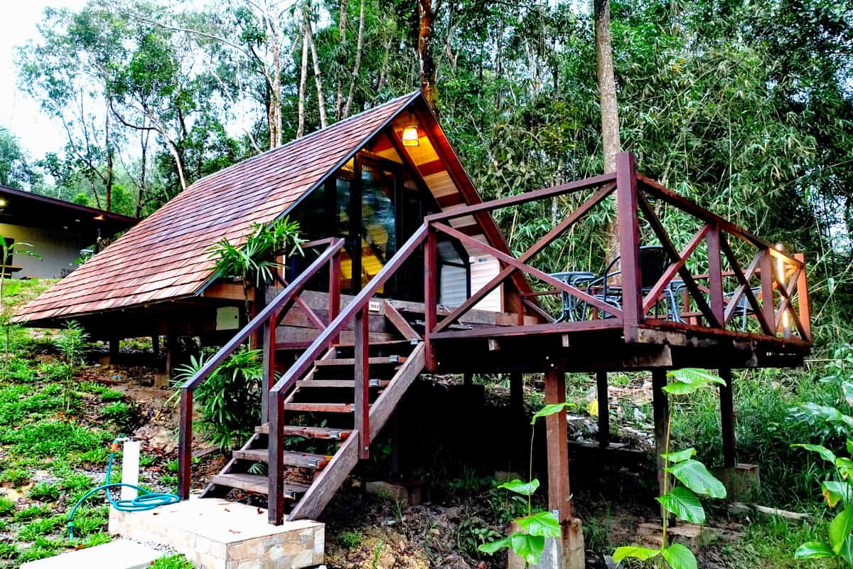 Serapi, Wildlife Adventure in the Jungles of Borneo