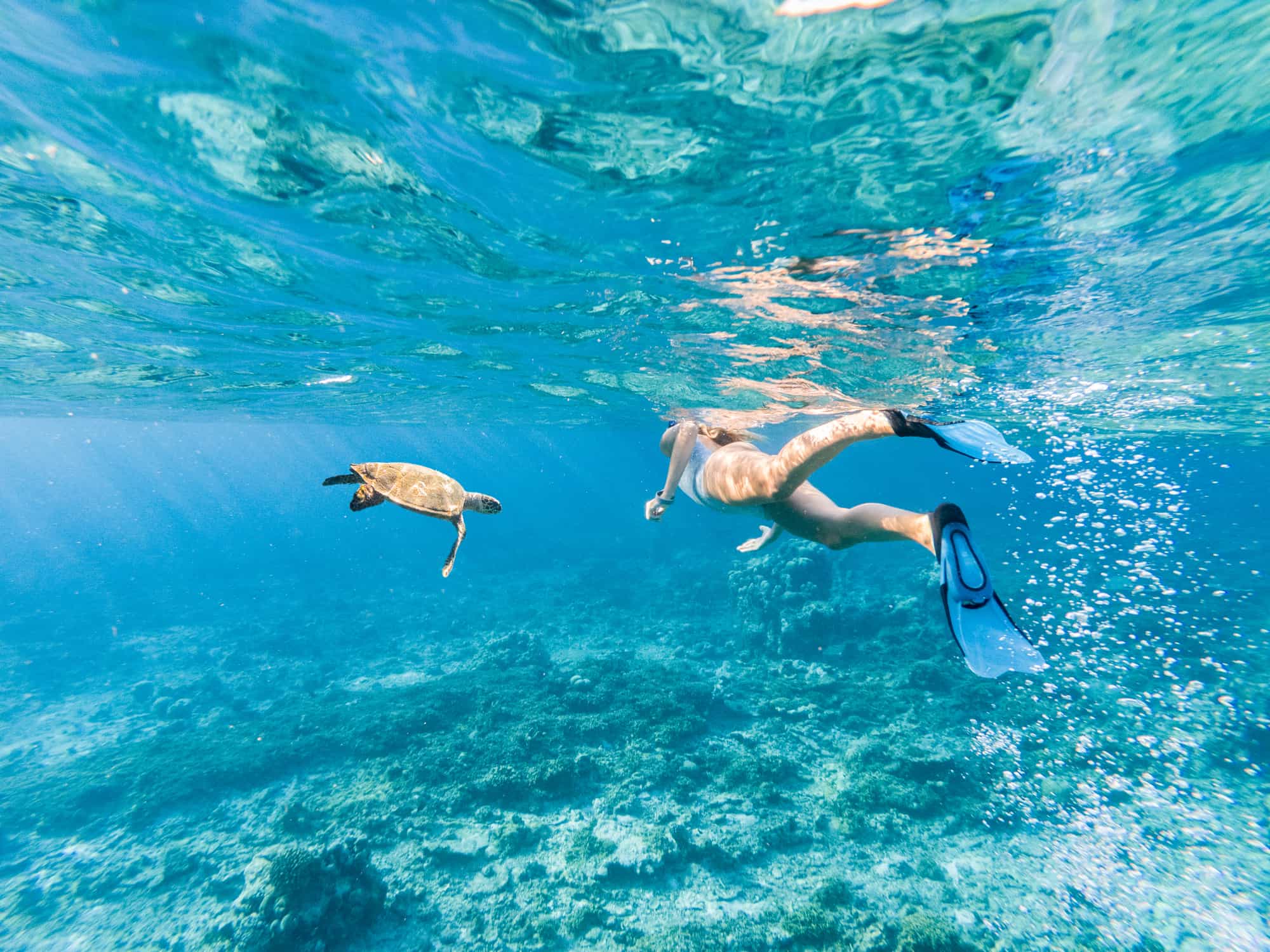 Underwater view of a person snorkelling with a turtle, Maldives.
