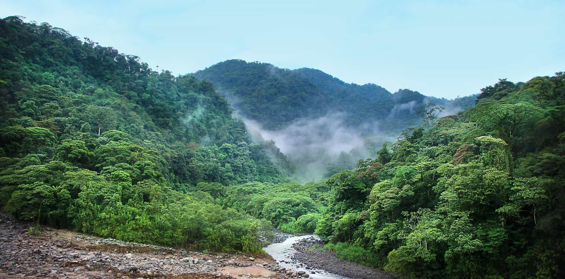Tropical forest landscape in Costa Rica with mist rising above the trees.
