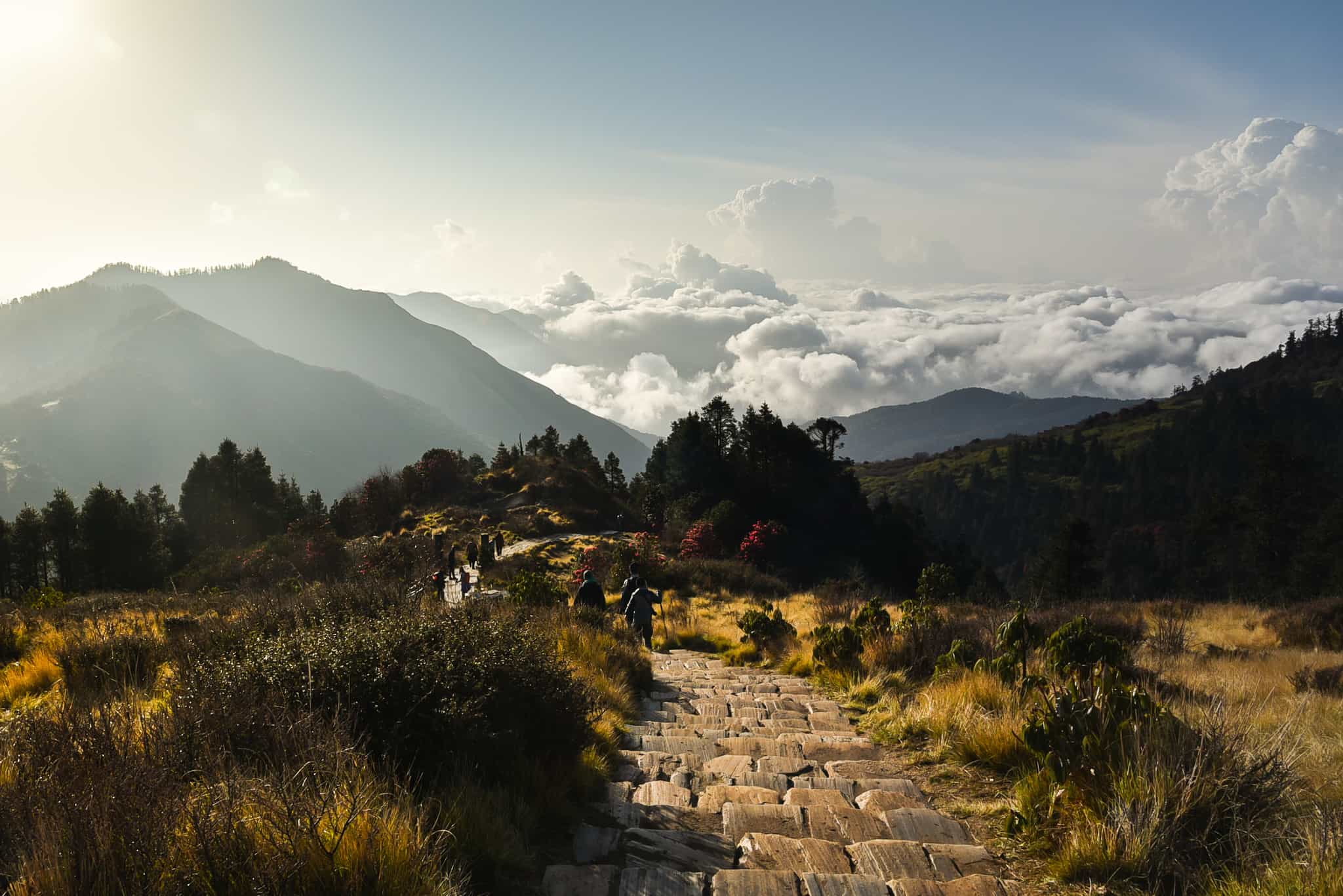 Ghorepani, Nepal. Photo: GettyImages-1138188181